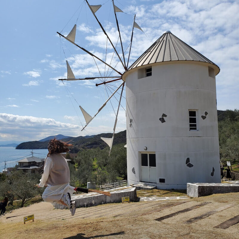 オリーブの木 超特大フリーカット 車でおでかけうれしな～ 約49cm